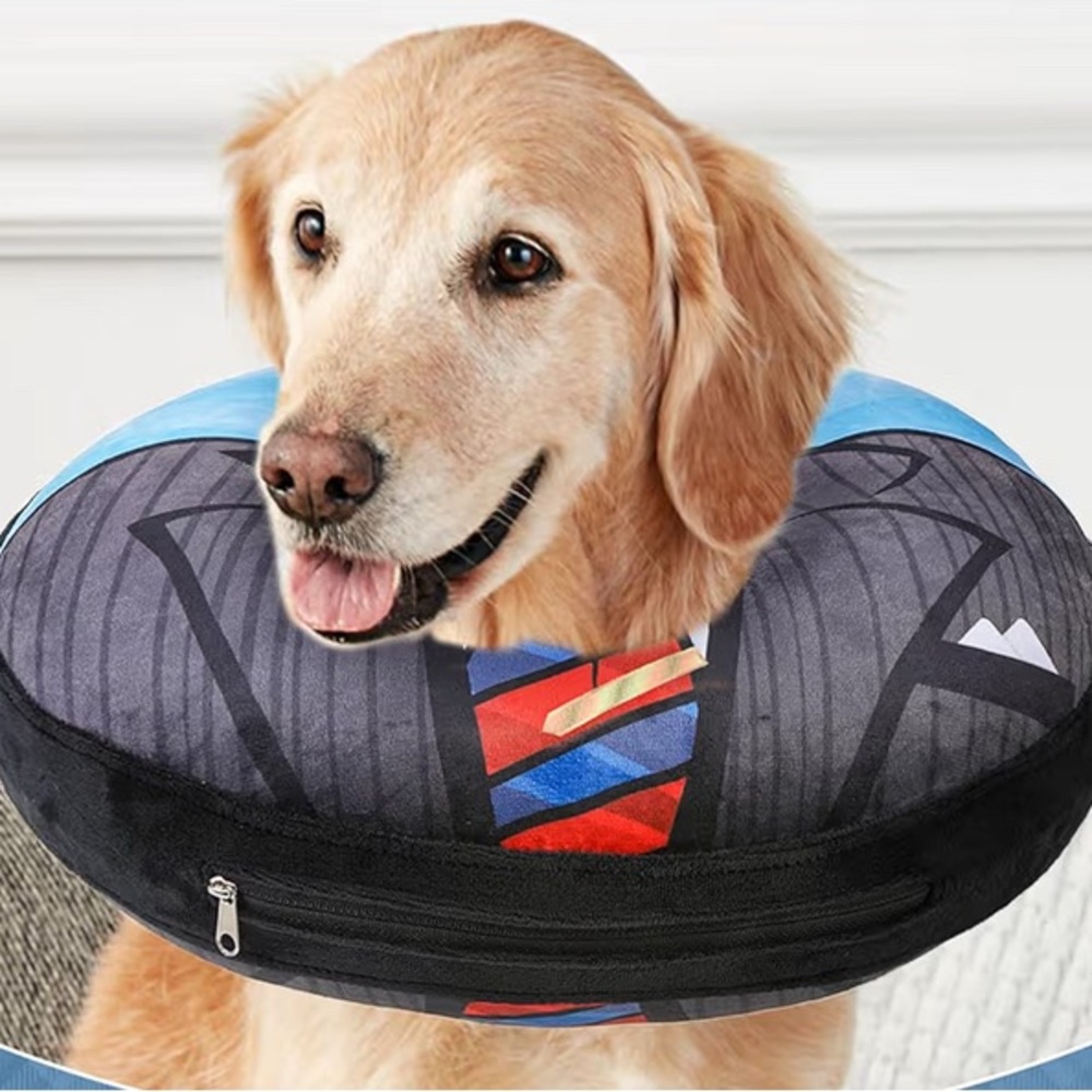 Dog Recovery Collar with Fun Design